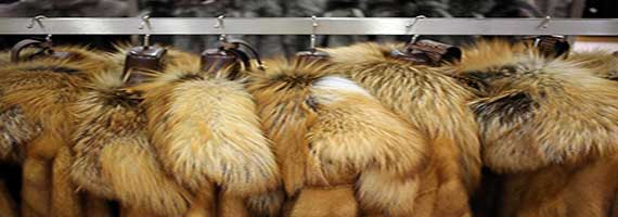 opbevaring, pleje og vedligholdelse af pels